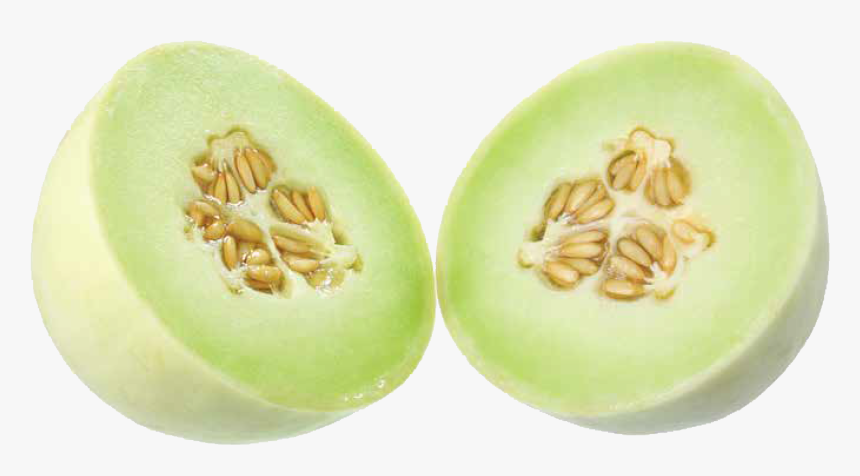 Honeydew, HD Png Download