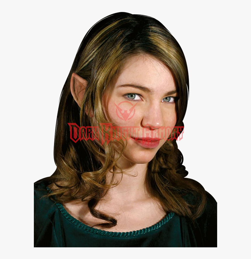 Wood Elf Halloween Costume, HD Png Download