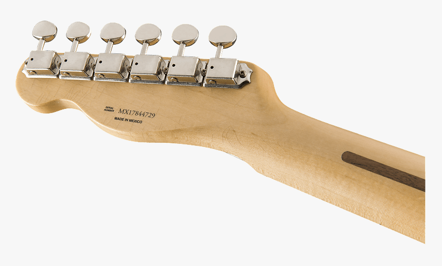 Bass Guitar, HD Png Download