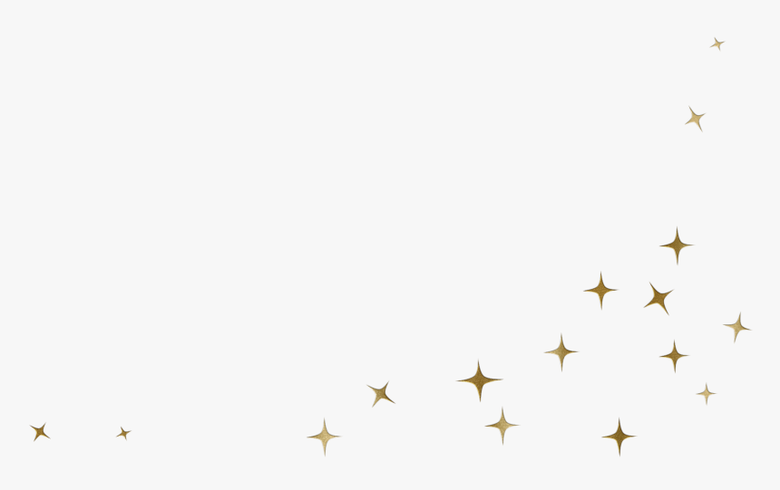 White Yellow Petal Leaf Flower - Stars Brush Png, Transparent Png