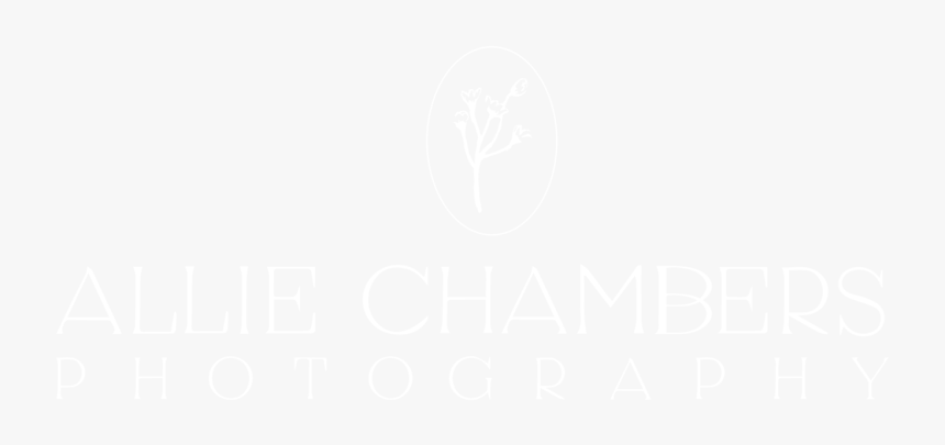 Alliechambersphotography White-01, HD Png Download
