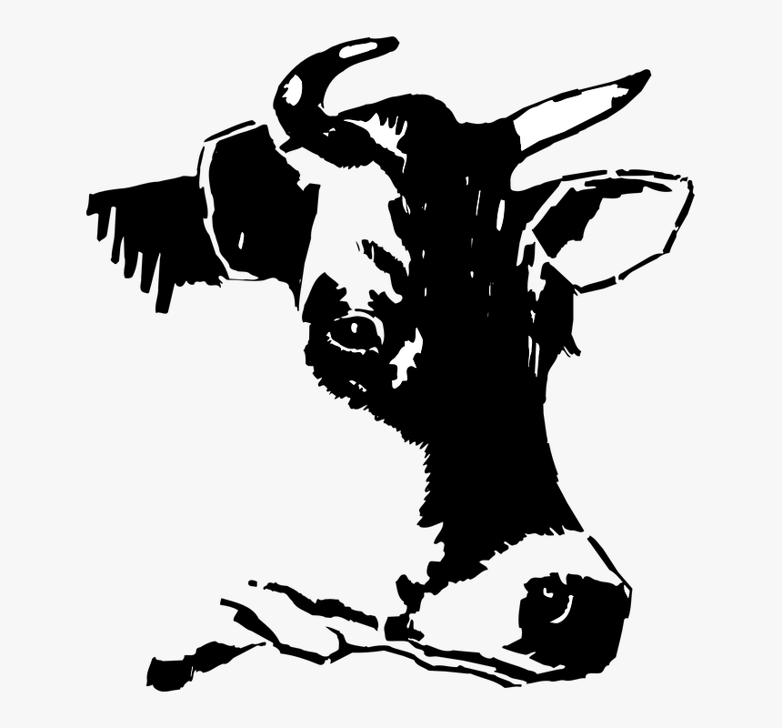 Transparent Cows Head Clipart, HD Png Download