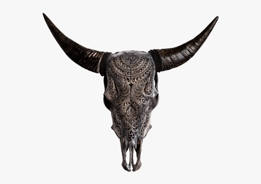 Skull Variant Skull Only - Cow Skulls, HD Png Download