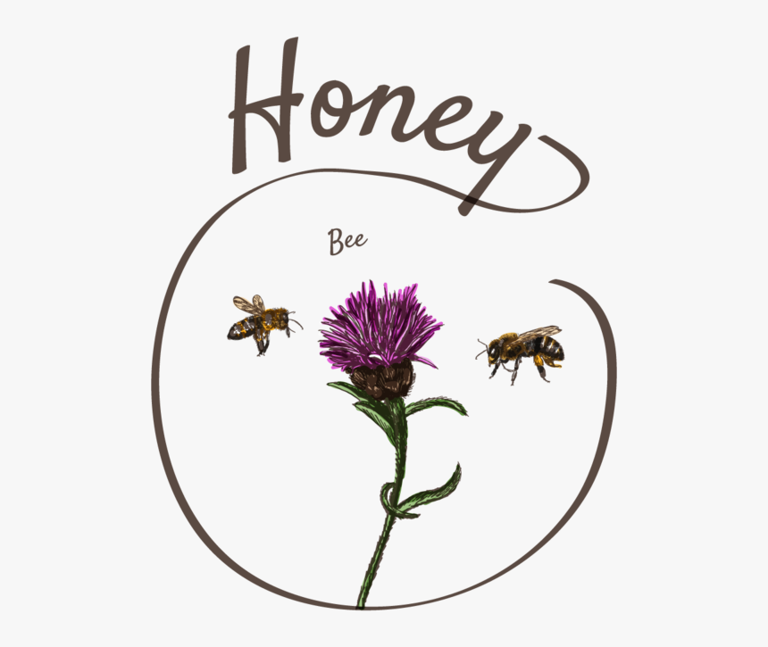 Kiss The Flower Honeybee Art - Illustration, HD Png Download