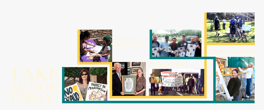 Montage Of Photographs Of Mlf Activists - Flyer, HD Png Download
