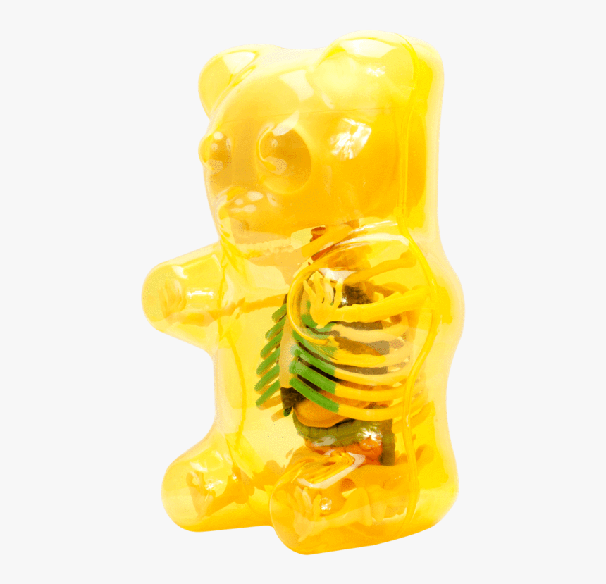 Clear Gummi Bear Funny Anatomy, HD Png Download