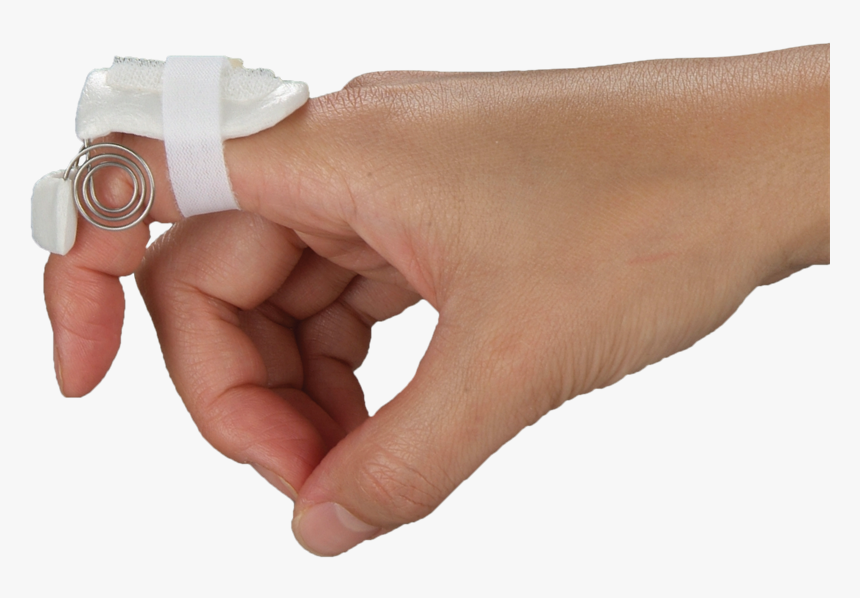 Thumb, HD Png Download