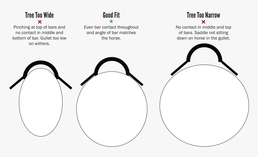 White Spots On Withers Horse, HD Png Download