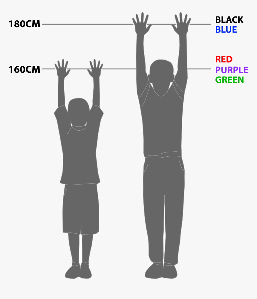 Treetop Challenge Sunshine Coast, HD Png Download