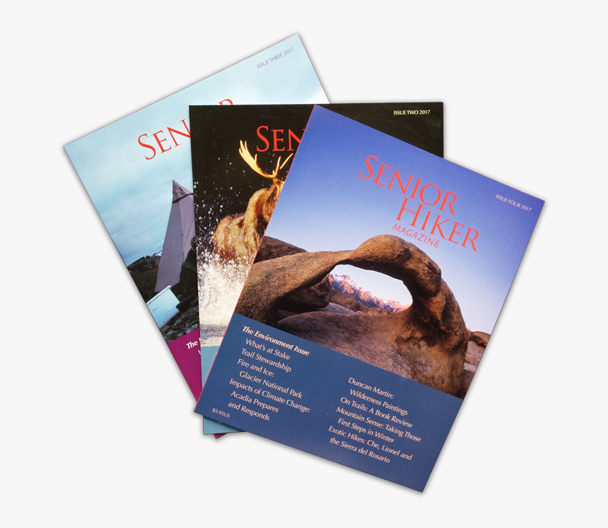 Magazine Collage - Flyer, HD Png Download