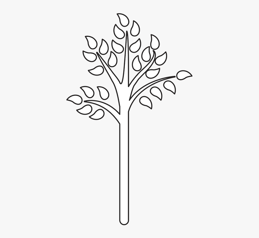White Tree, HD Png Download