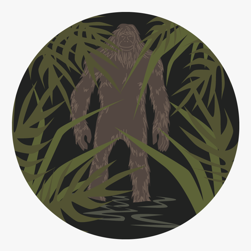 Tsfs 09 04 17 Website - Illustration, HD Png Download