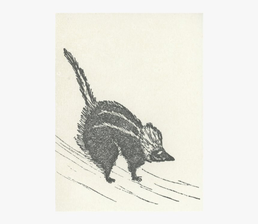 Rat, HD Png Download