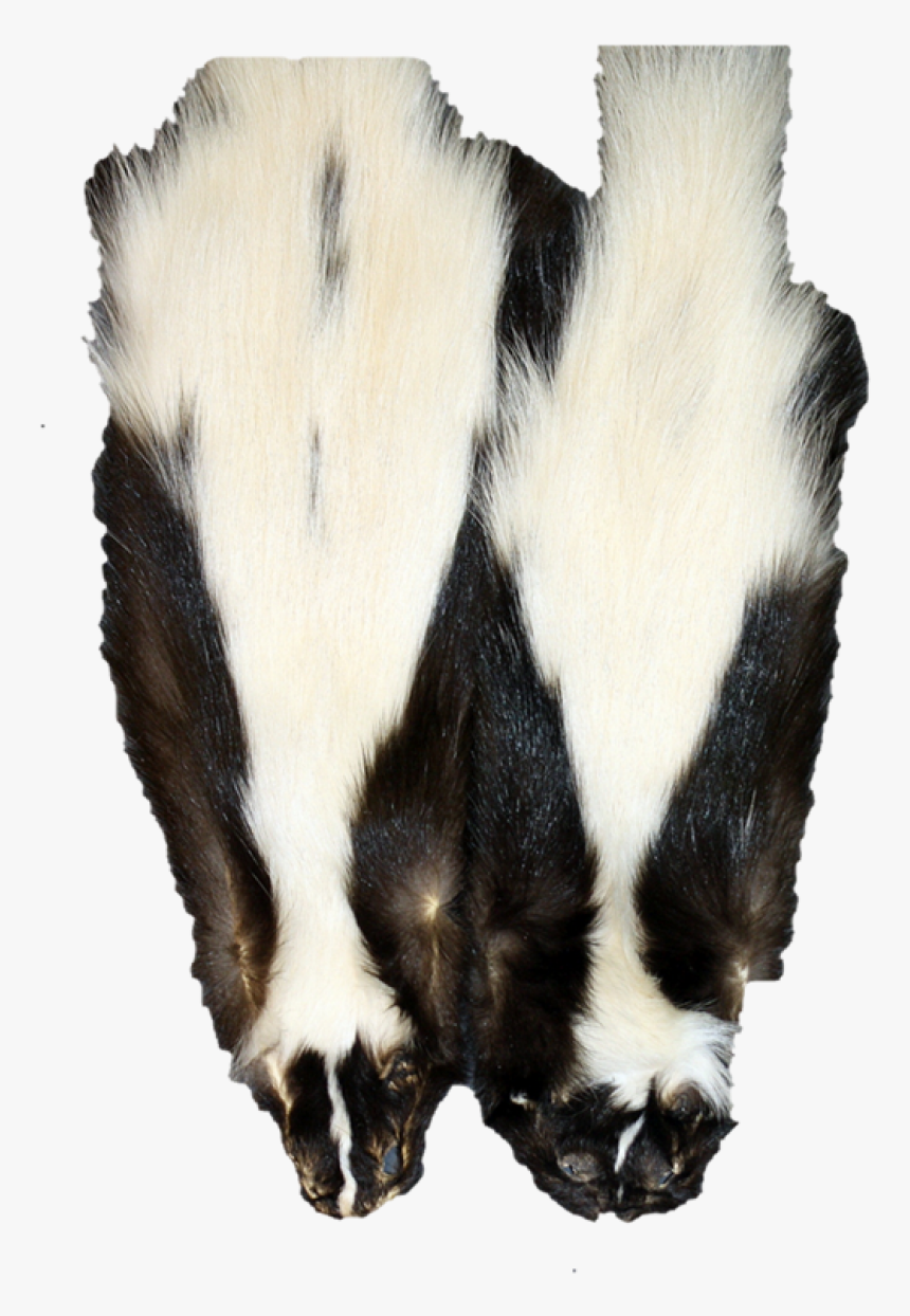 2x Wide Stripe - Skunks Pelt, HD Png Download