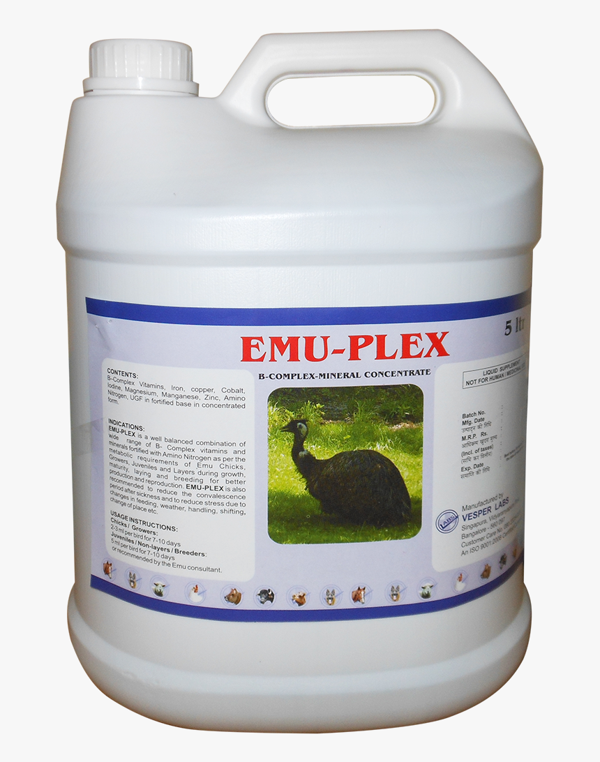 Skunk , Png Download - Skunk, Transparent Png