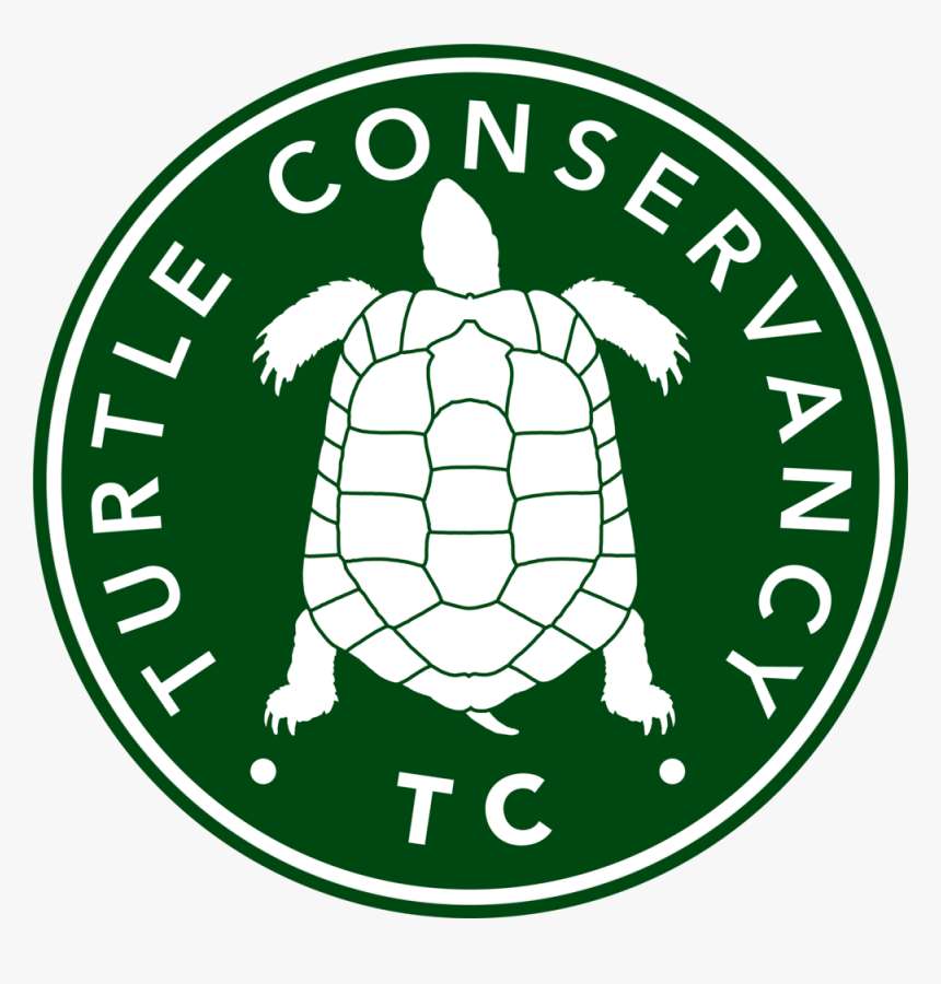 Turtle Conservancy - American League Champs 2019, HD Png Download