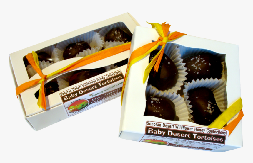 Baby Desert Tortoise 6 Pk 4pk Website, HD Png Download