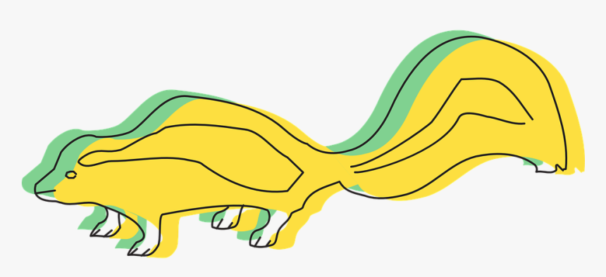 Skunk Png, Transparent Png