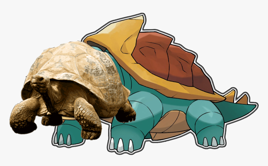 Pokemon Drednaw, HD Png Download