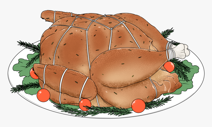 Turkey Ended Up In Bondage - Tortoise, HD Png Download