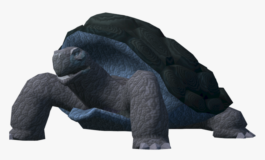 Galápagos Tortoise, HD Png Download
