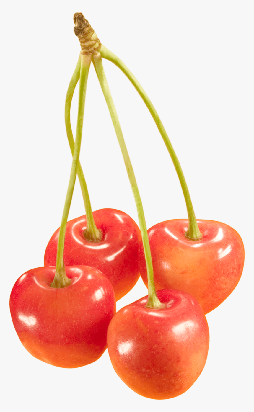 Cherries Png Image - Orange Cherries Png, Transparent Png