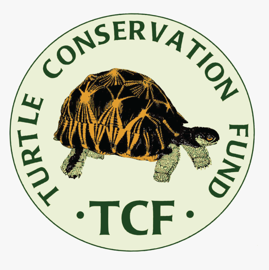 Turtle Conservation Fund, HD Png Download