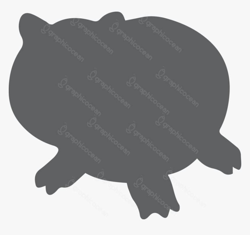 Tortoise, HD Png Download