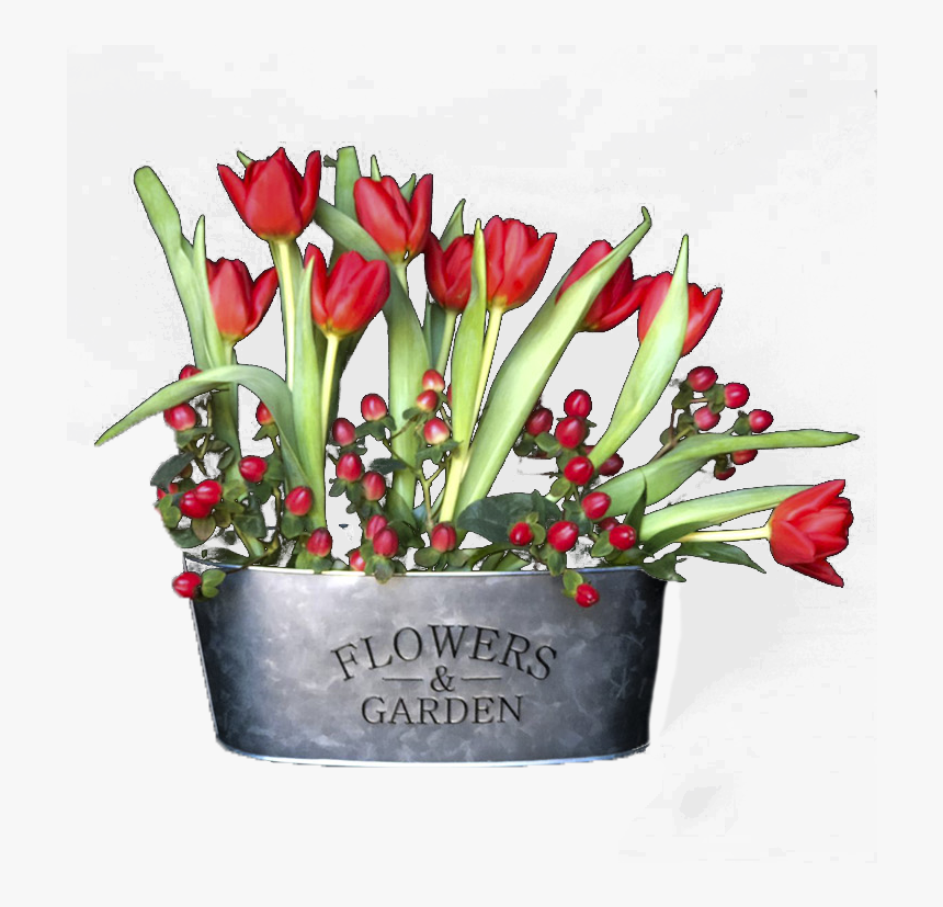 Tulips, HD Png Download