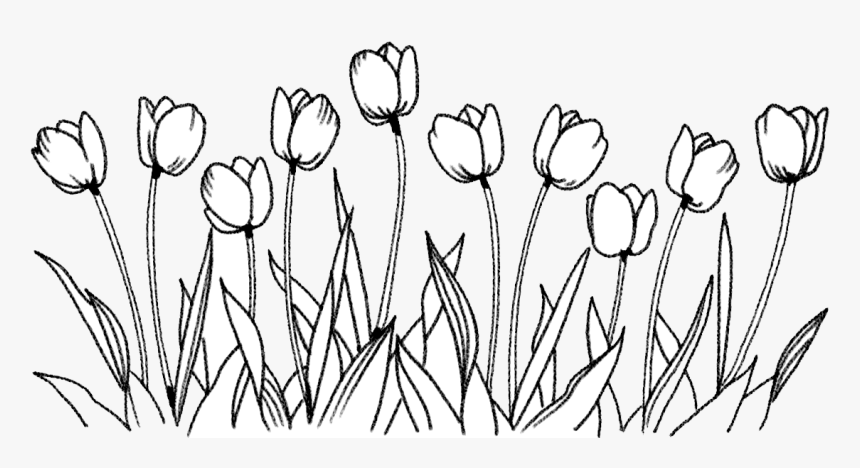 Sensitive Subject And Health Research - Flower Drawing Png, Transparent Png