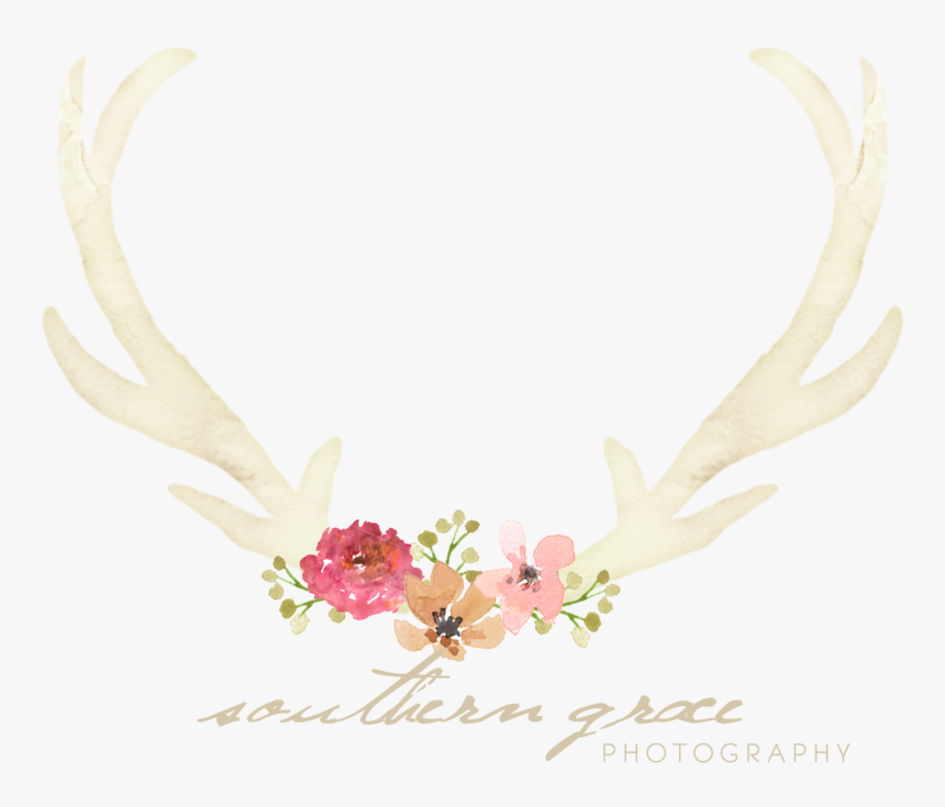 Reindeer Antlers Headband Png , Png Download - Elk, Transparent Png