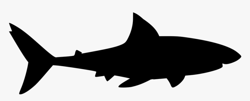 Shark Silhoutee, HD Png Download