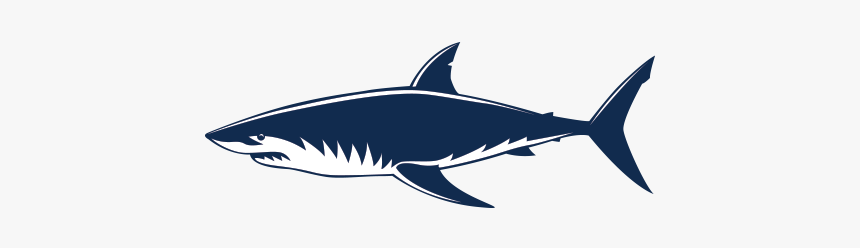 Requiem Sharks Great White Shark Shark Jaws - Shark Vector Png, Transparent Png