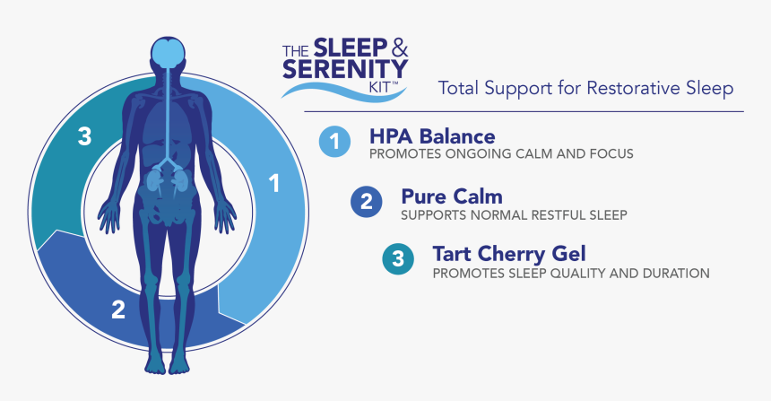 Chef, HD Png Download