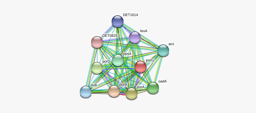 Porg Protein - Circle, HD Png Download