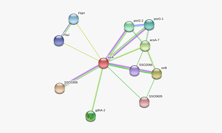 Iora Protein - Circle, HD Png Download