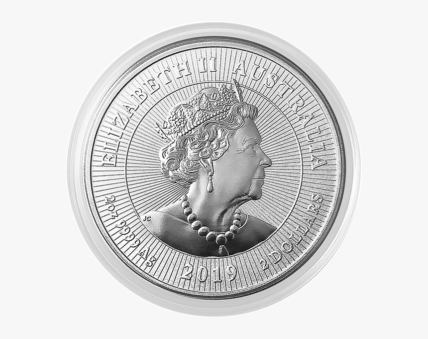 Silver Piedfort Crocodile & Baby Back - Circle, HD Png Download