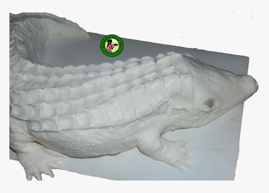 Crocodile Cake White - Nile Crocodile, HD Png Download