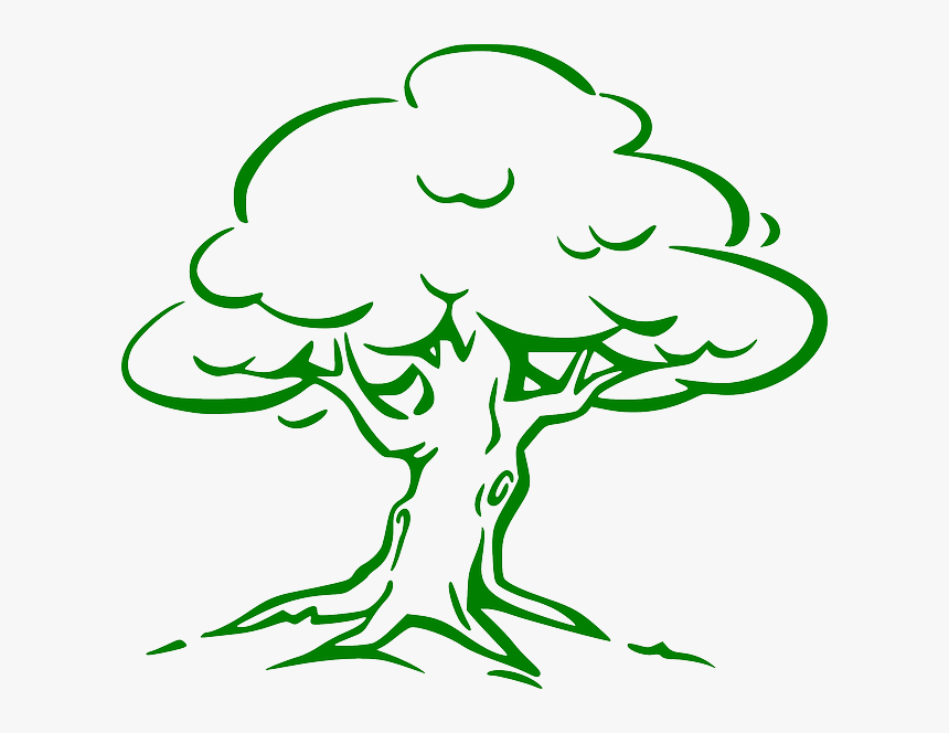 Oak Png Sm - Tree Black & White, Transparent Png