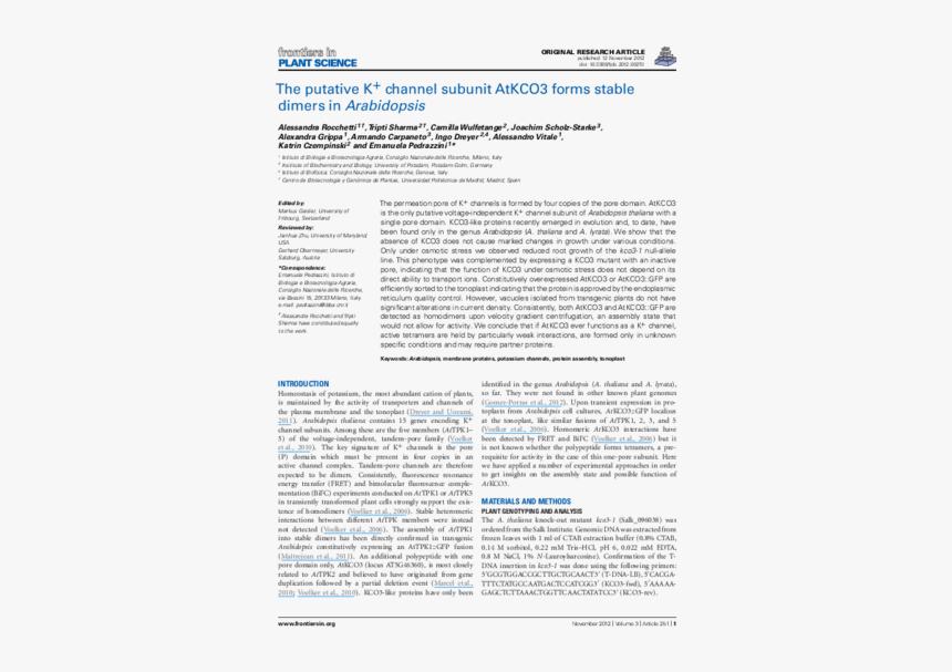 Document, HD Png Download