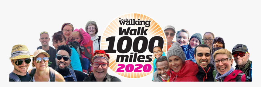 Walk1000montageweb - Holi, HD Png Download