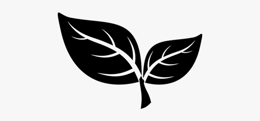 Concept Plan - Illustration, HD Png Download