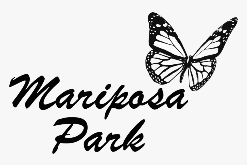 Mariposa Park - Pieridae, HD Png Download