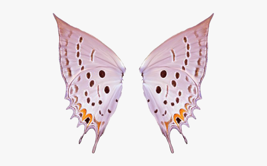 Thumb Image - Alas De Mariposa Png, Transparent Png