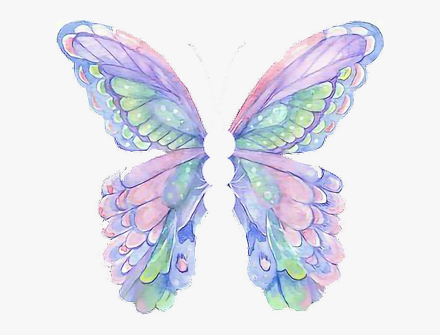 mariposa #arco Iris🌈 #alas #cool #tumblr #selfie - Qlas De Mariposa Png,  Transparent Png , Transparent Png Image - PNGitem