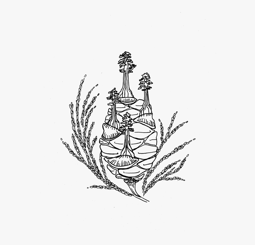 Mariposagrove - Sketch, HD Png Download