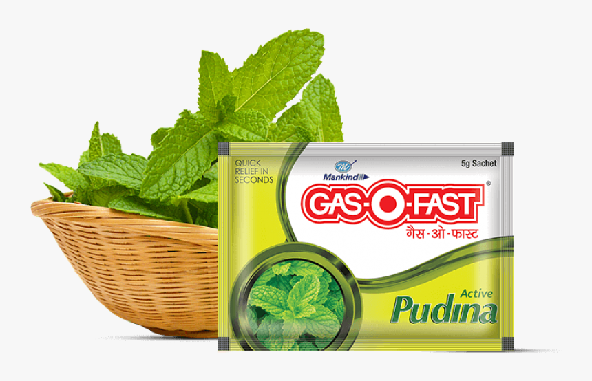 Gaso Fast Pudina - Gasofast, HD Png Download