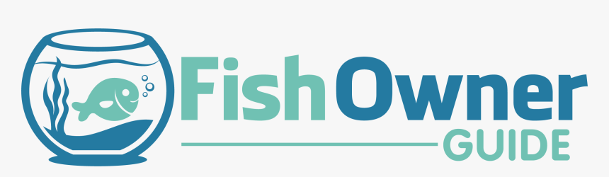 Fish Owner Guide - Graphic Design, HD Png Download