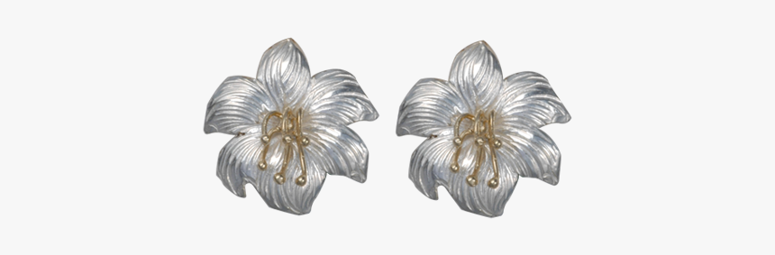 E158cpsp0, HD Png Download