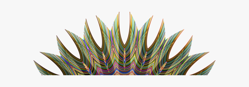 Botany,plant,flower, HD Png Download